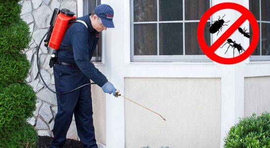 Evka 1 Uçan Haşere İlaçlama böcek ilaçlama ve haşere kontrolü — ilaclama-tr.com